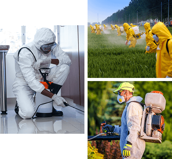 home pest control in anand vihar