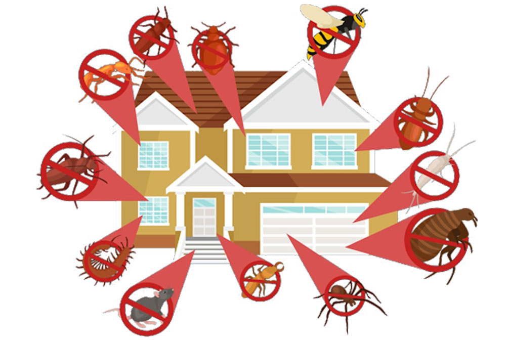dengue control near by gagan viahar
