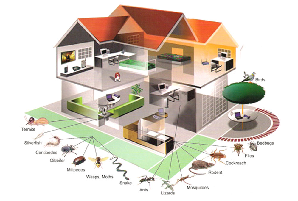 eco friendly pest control